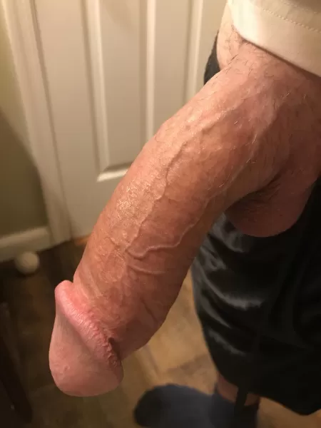 [51] m - good morning PM’s open by Openpa50