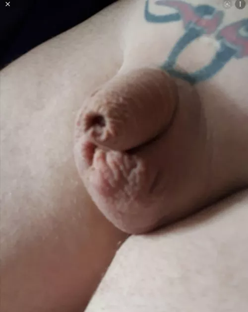 (52) my tiny dick by justasmallone04