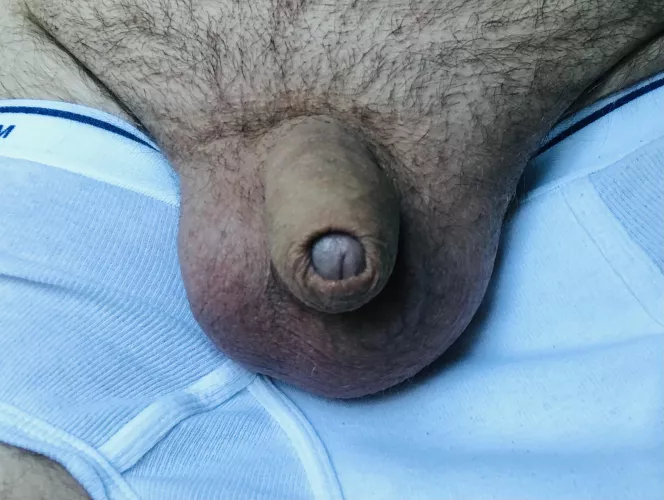 (53) I can’t be the only guy who actually doesn’t care if he’s got a small cock. by whitebriefs68