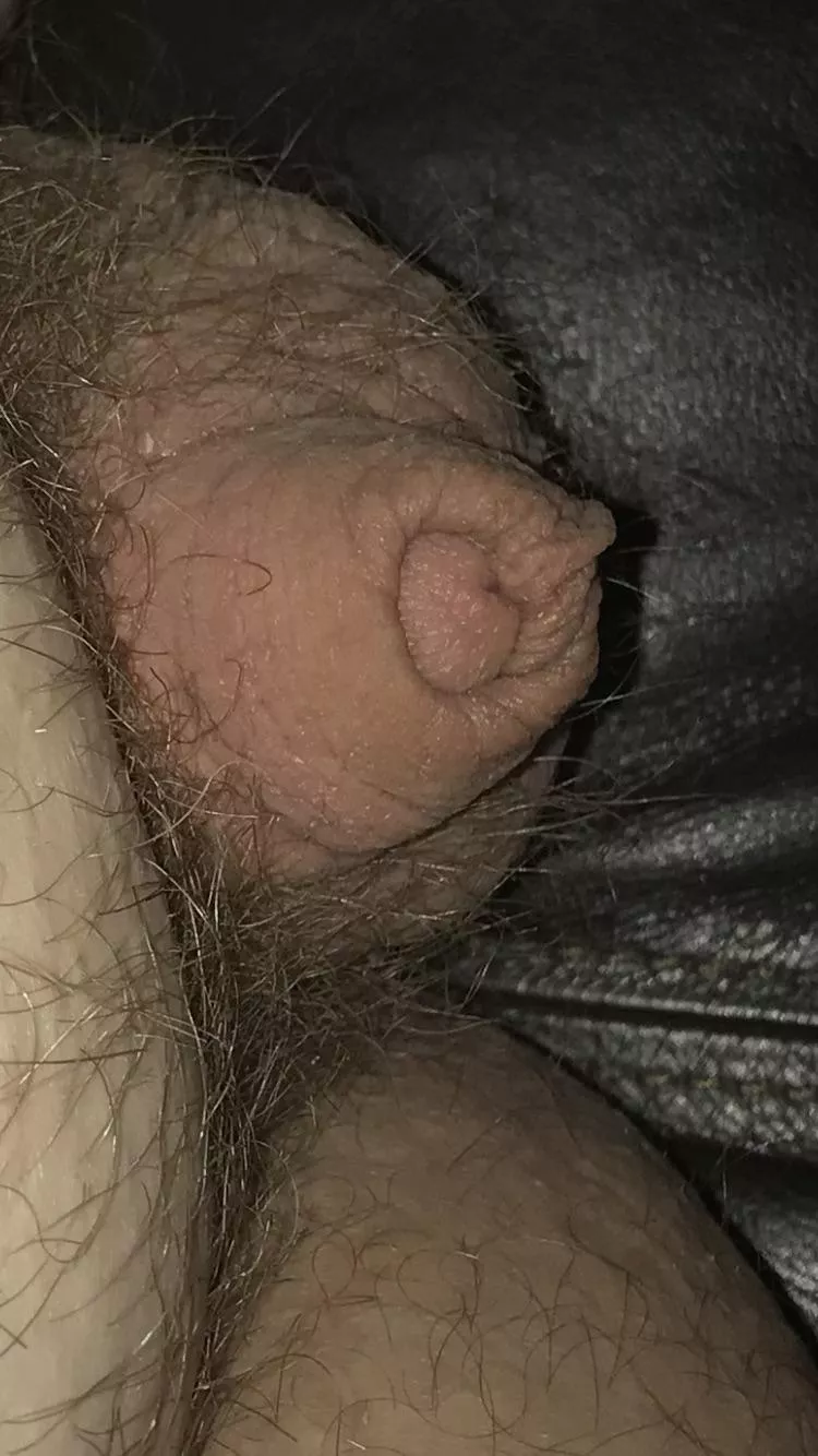 [54] Looking kinda cute this morning 😊 posted by hondu5555