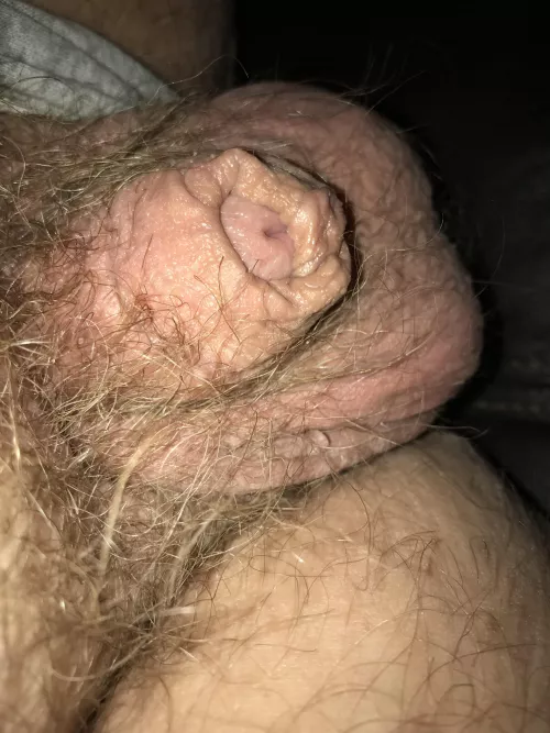 [54] Sleeping in on Sunday by hondu5555