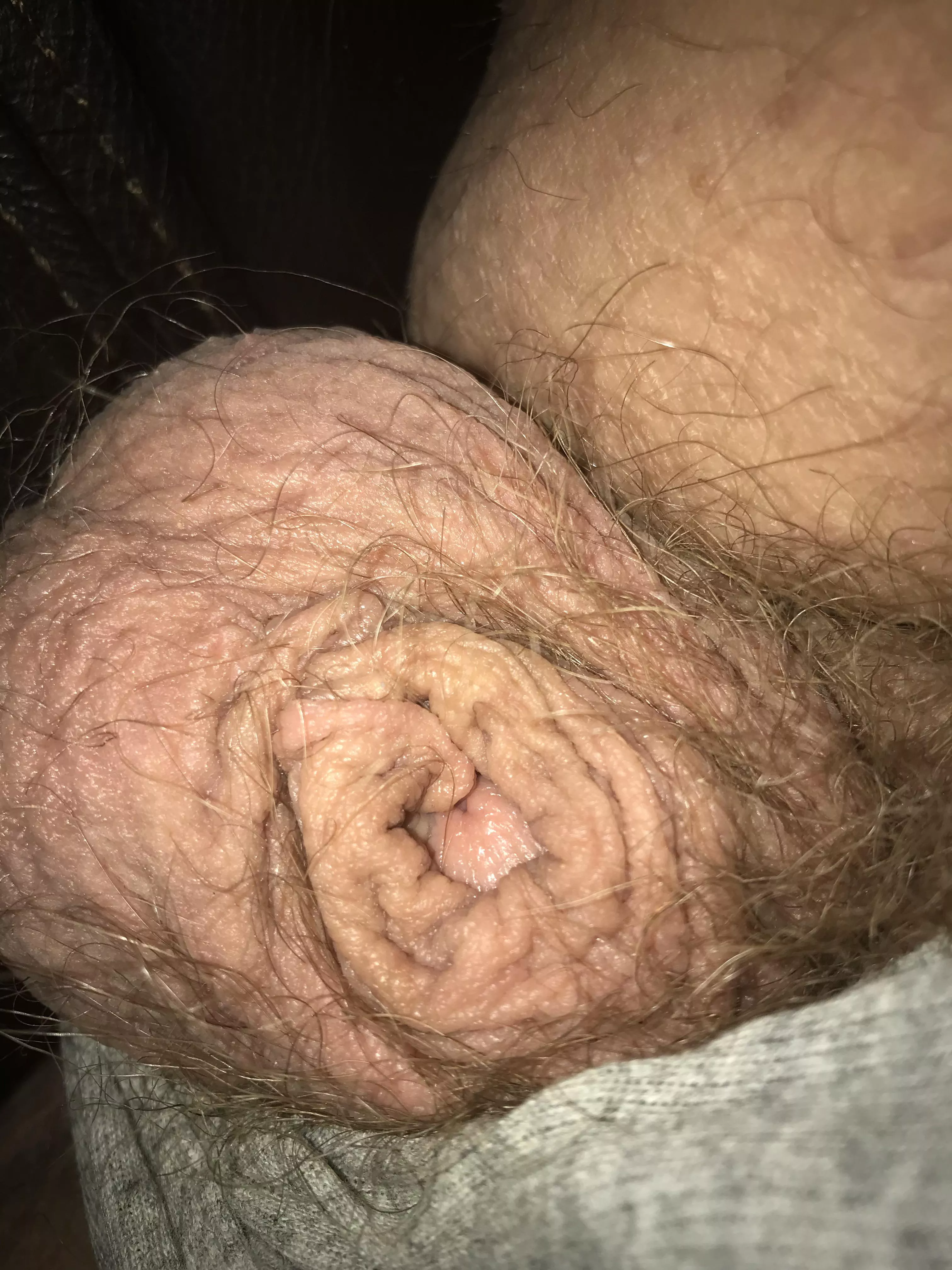 [54]Scared of the thunderstorm happening outside ⛈🌩 posted by hondu5555