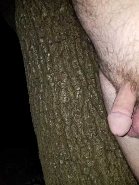 [55] Big Tree...small cock. Looking to chat. DMs open. by Daddysmalldong4in