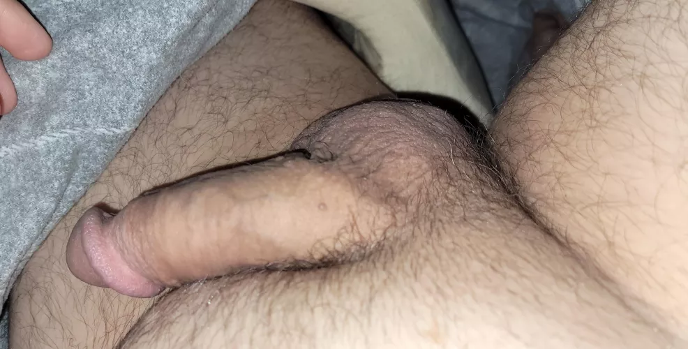 55 (M) Lazy Superbowl morning. by mhereck