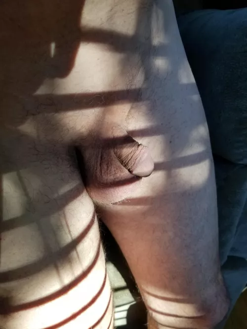 (56) chilling naked by nudistimes