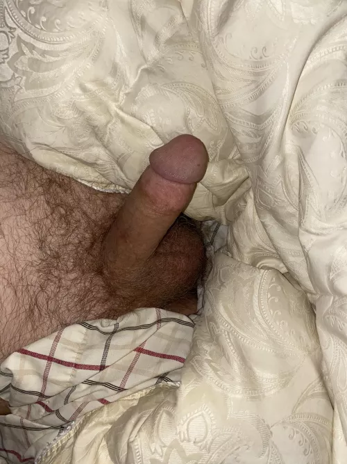 [56] NEO. All wrapped up in a warm blanket. Wishing something else was wrapped around it. by captjens