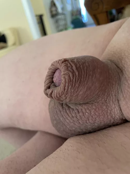 [56] Things look bigger when you’re closer, right? by SuchASub