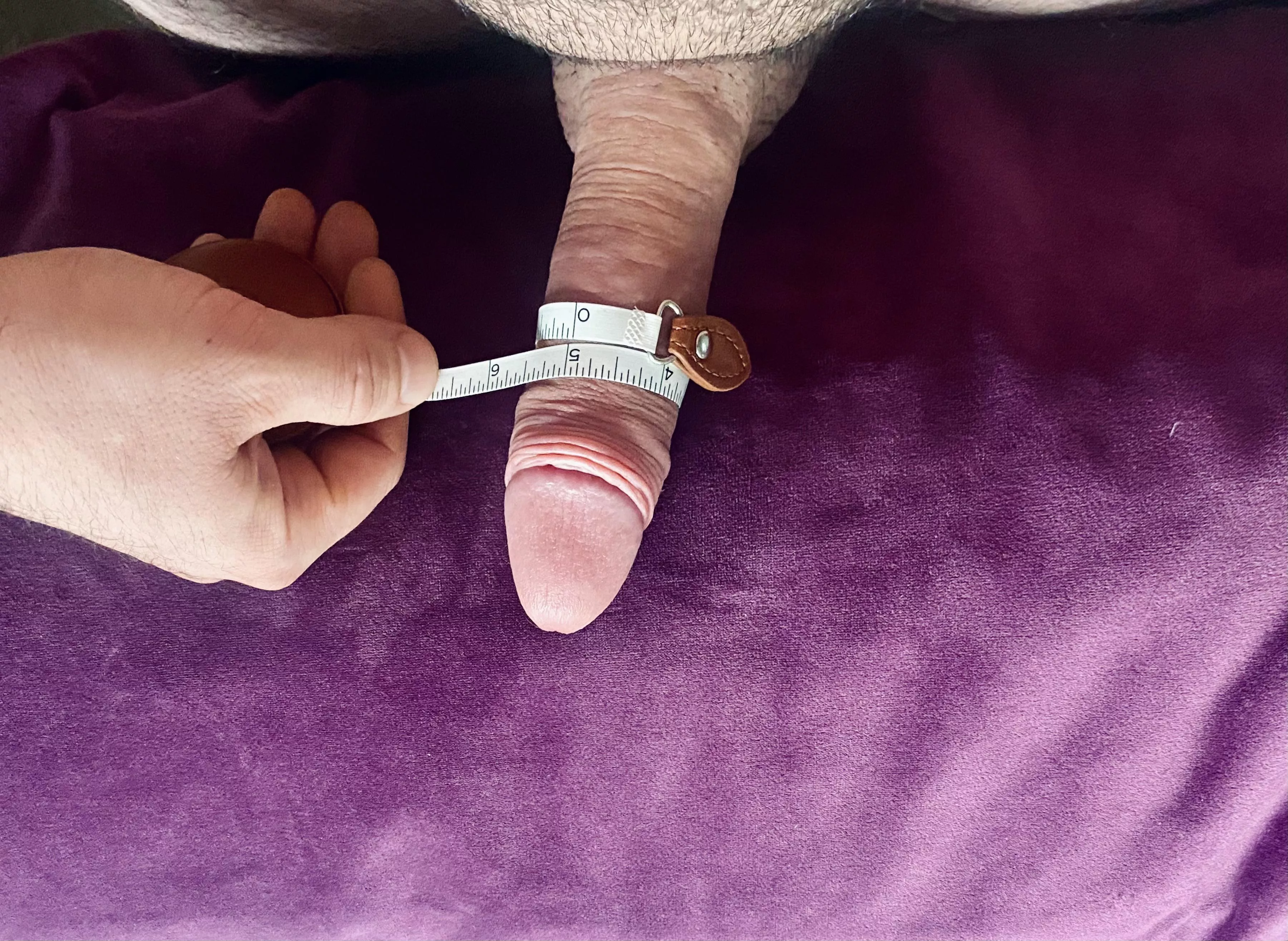 5inch girth - length pic in profile. posted by MilesPretty