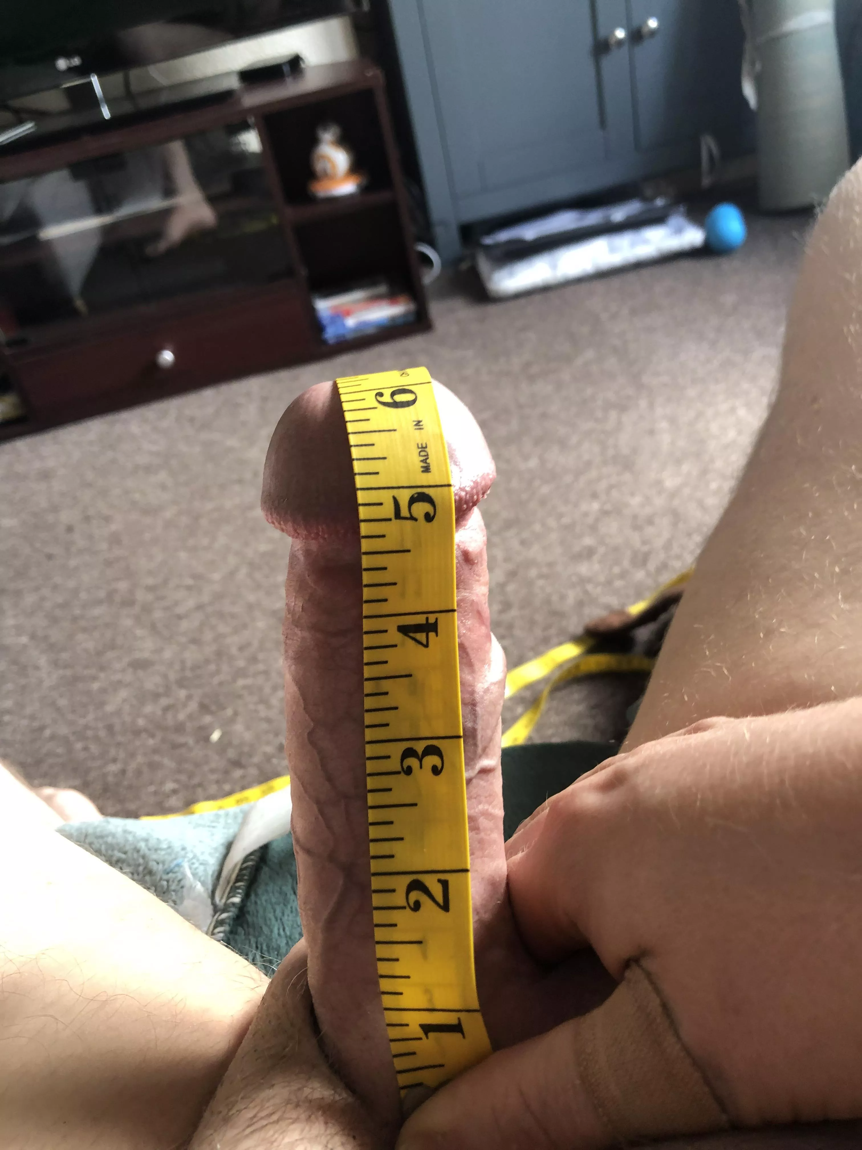 6 x 5.5 🤷‍♂️ posted by Large-Push