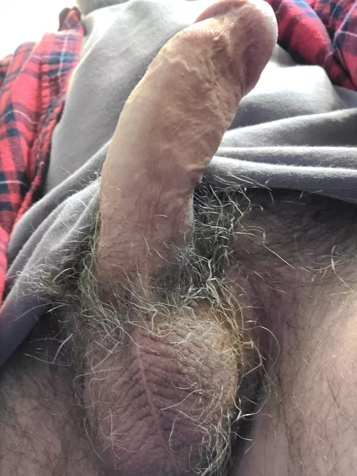 [60] Fantasizing by zookeeper1245