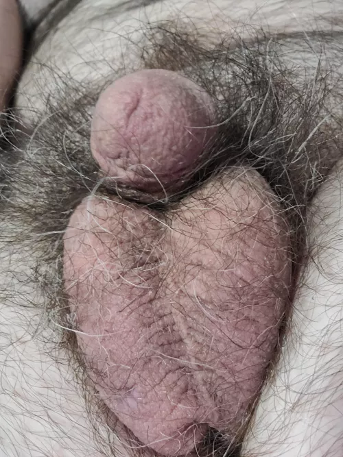 [60] tiny when soft by zookeeper1245