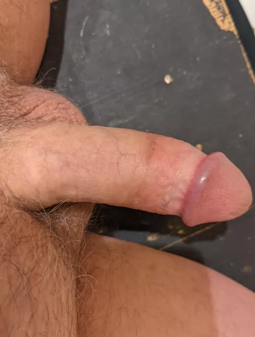 [61] and so full of himself he's bound to find trouble! by Gullible-Service1479