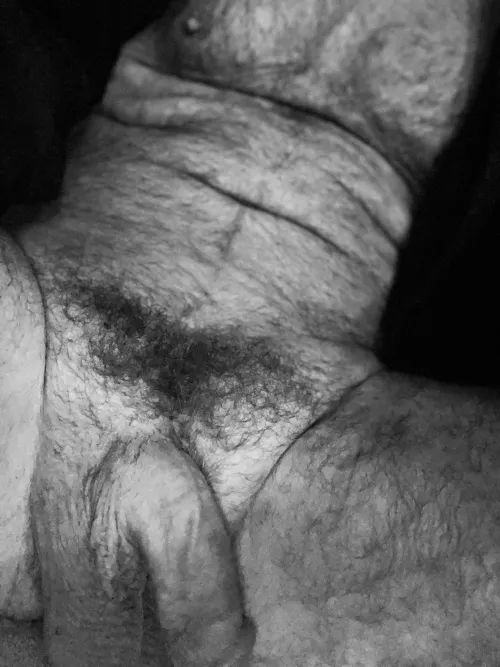 61 hanging by aergmac