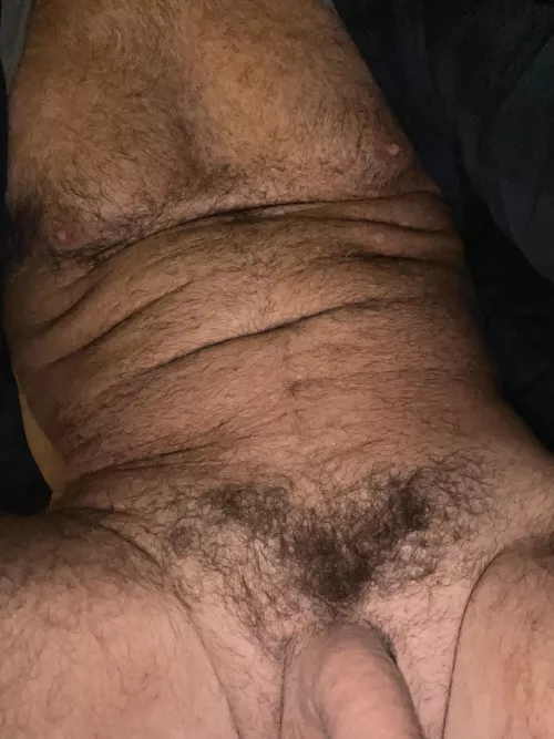 61 like to snuggle? by aergmac