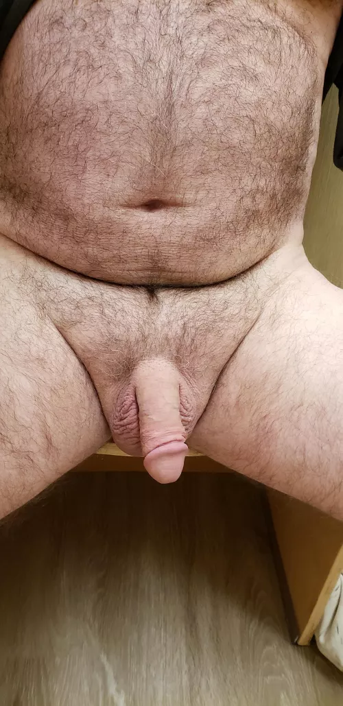 62 , at Kohls by 9591epk