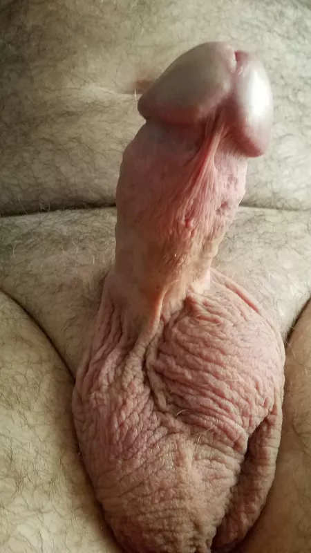 62, How about this old guy? by 9591epk