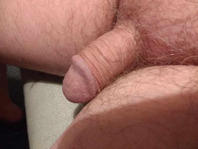 [64] Floppy Friday by cgh475