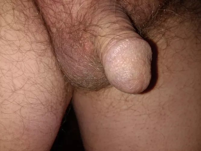 [64] You can tell it's cold today. Everything is shrinking. by cgh475