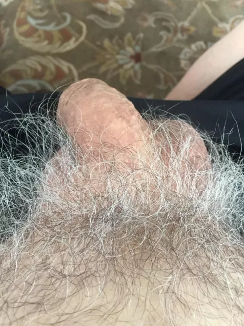 66 Horny for gray pubes! Show me some silver streaked bush! Snap at mikekrakow2 by mikelynn2020