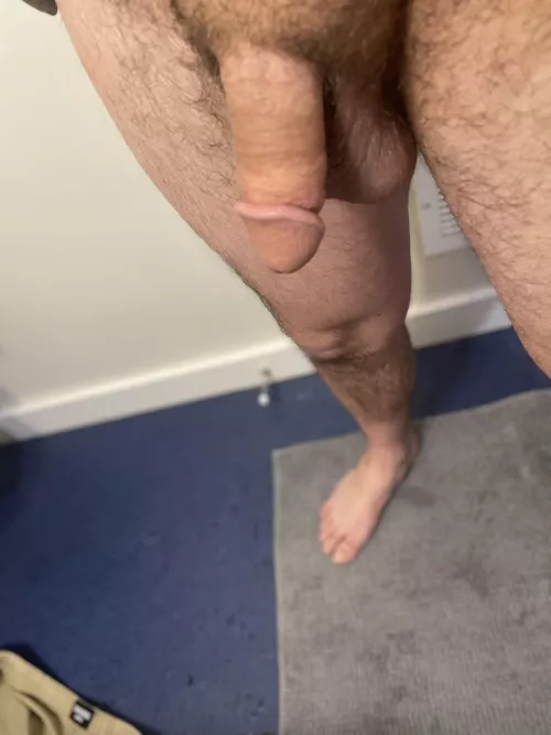 7” hard by SalamanderCommon8948