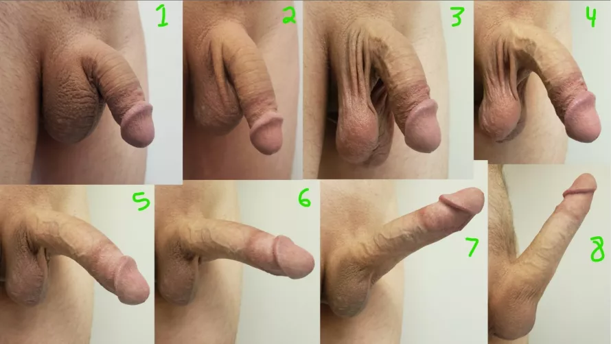 8 different stages of my cock by tawy000