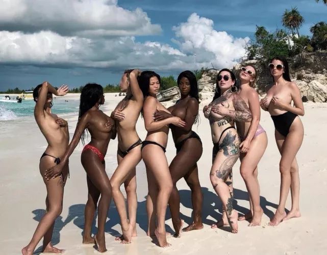 [8] we love diversity by decentralized-dime