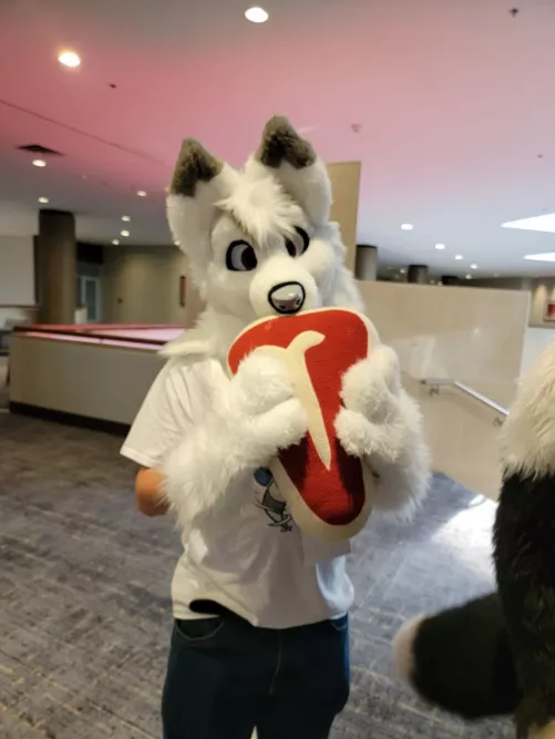 A bit late but here is me in my partial fursuit at TTFC! by cashuea