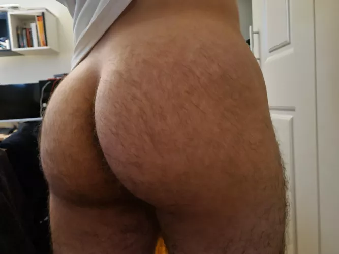 a bit of fur by throwaway31311313