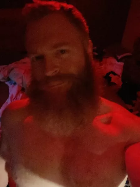 A bit of Gingerspice for your day. by DeFoerest