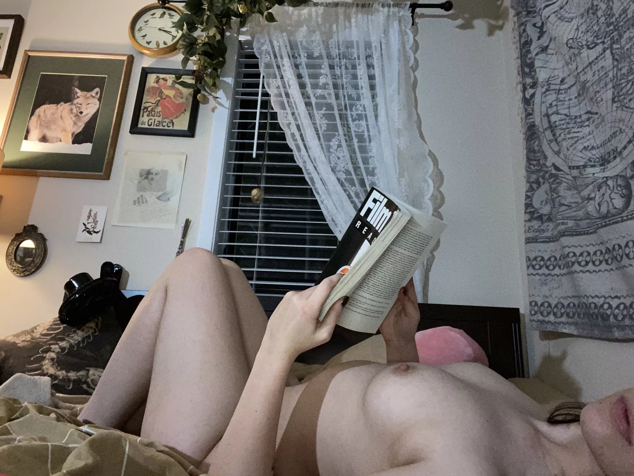 a book about film noir for a film noir class posted by lilhoneydoeeyes