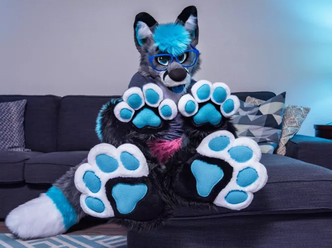 A bunch of blueberries 🫐🐾 by maxxthefoxx