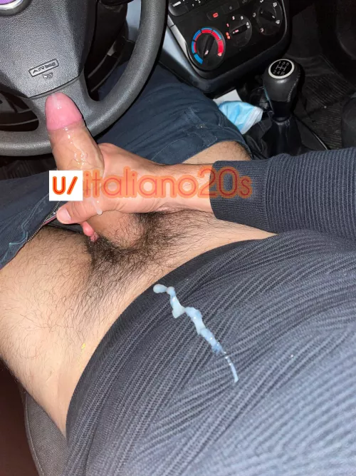 A car is perfect to deal with munchies and boners by italiano20s