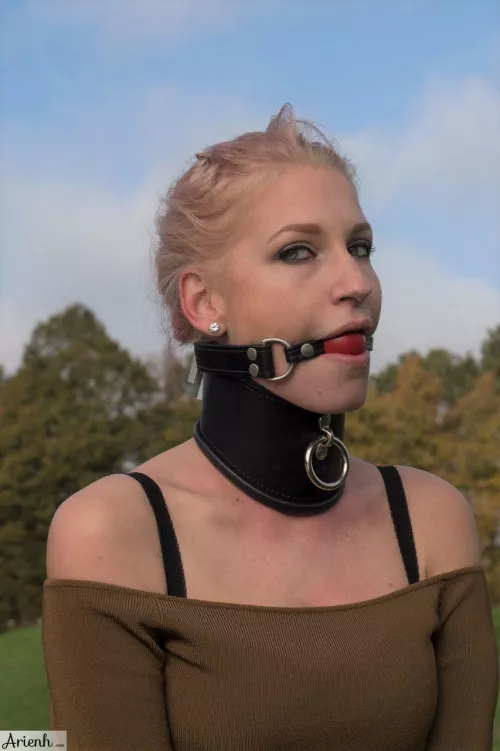 A casual walk in the park (Arienh Autumn) by frustrated_virgin2