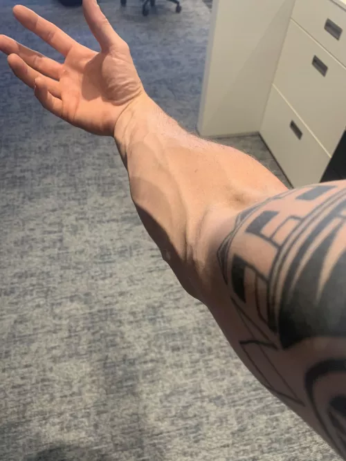A certain someone told me my forearms would be appreciated. I used to be ashamed for my veins when I was younger 🙈 35M by redditorcris