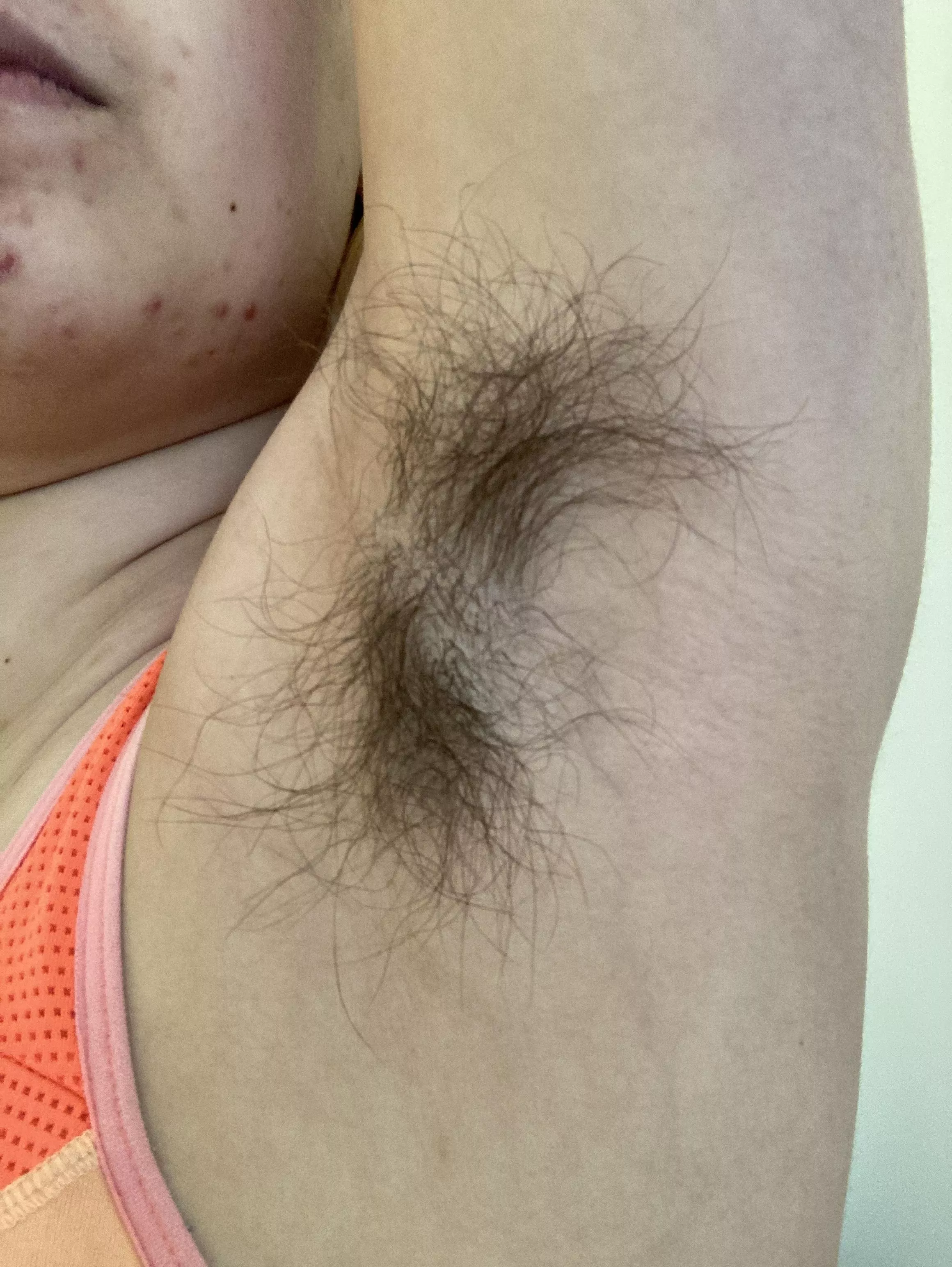 A close-up of one of my hairy armpits! posted by rainy_baby