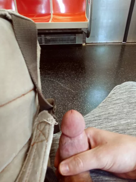 A dick in the wild by firestripe30