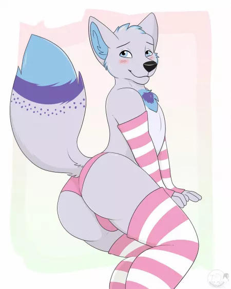 A dream come true~ (gothicsiamese) by fuzzyfurry69