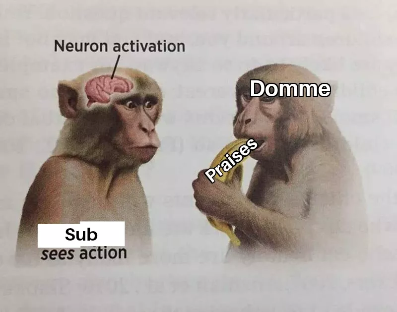 A few praises is all it takes to make me yours ~ posted by CameHere_To_Ask