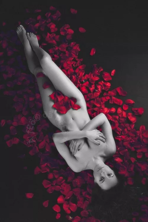 a flower bath by JorgeWllysses