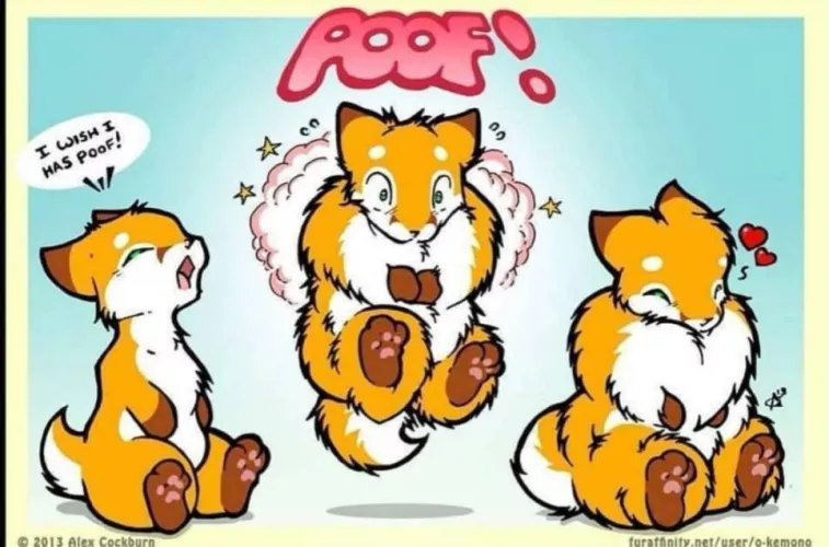 A fox gets their floof (O-Komono on furaffinity) by txxxposter