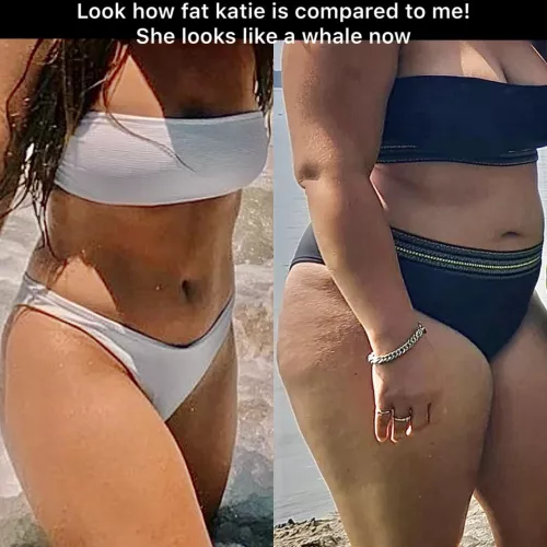 A friend of me made this comparison between us, Is it really that bad? by Fattygirl2021