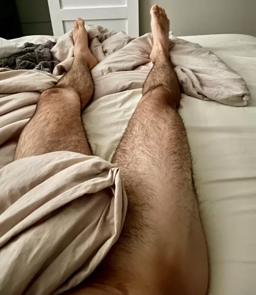 A furry morning by TheseGrowth