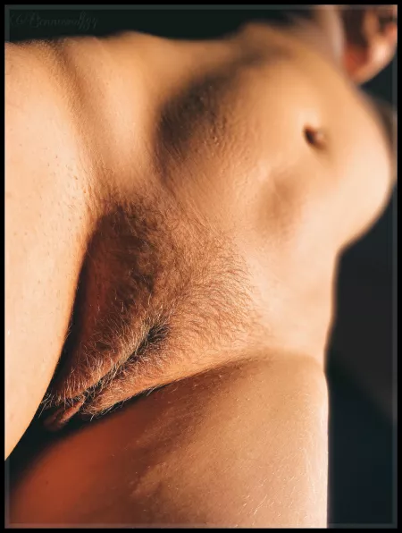 A golden glow in the dark pulls my lust in his spell fills me with desire for a kiss, the taste of beauty. by bennowolf84