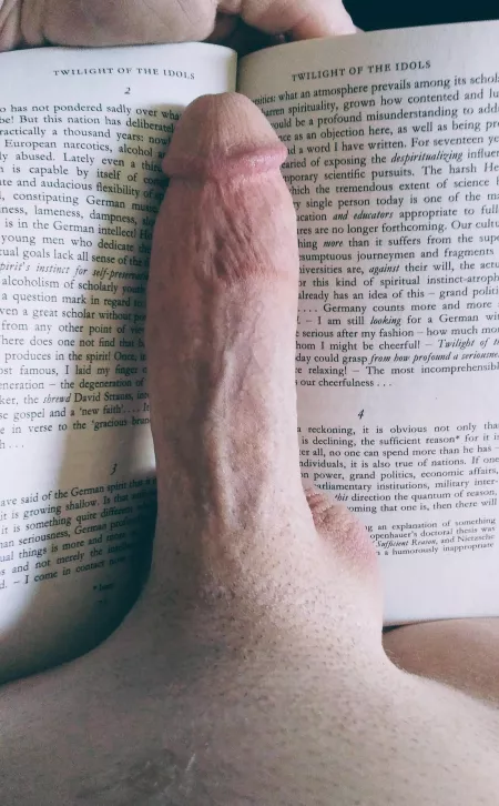 A great read 10/10 recommend Nietzche by paraboliccumshot