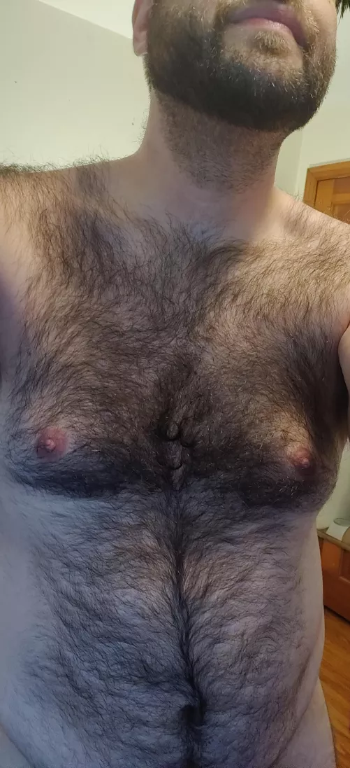 A hair or two by WadeKavorkey