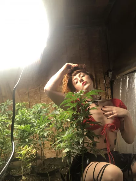 A hippie & her herbs 🌿❤️‍🔥 by jessicafoxblood