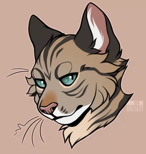 A kitty cat this time! by Tevayra