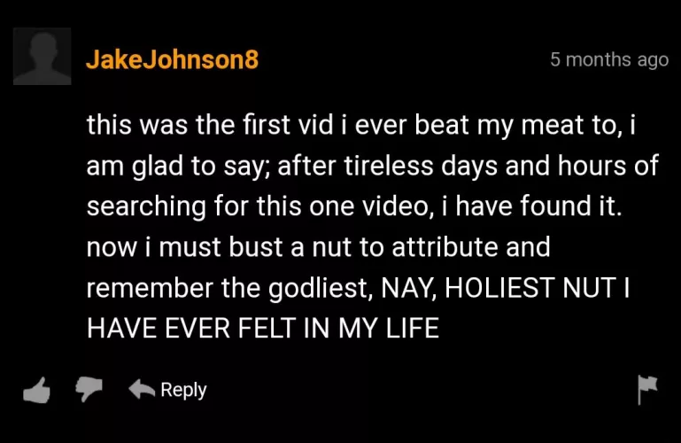 A lifelong search is complete by nintendo_d_s