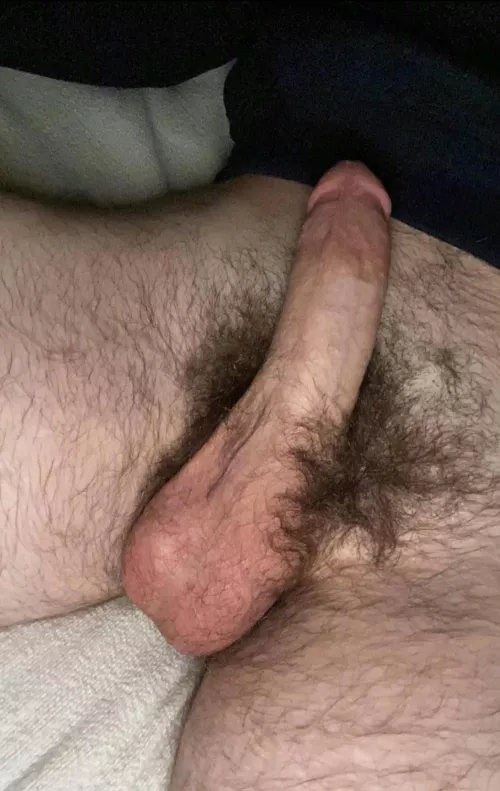 a lil bushy by Calm-Application6078