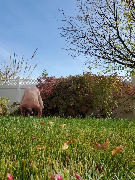 A little crow on a cold 🥶 day here in Colorado! 😘🧘‍♂️🕉